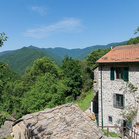 Гостьовий будинок La Casa Nel Bosco-Senza Auto Ponte della Venturina Екстер'єр фото